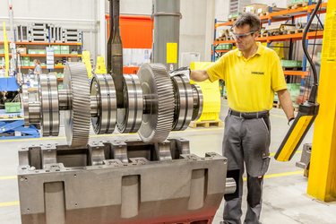 Hammelmann 中的经历